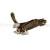 :iconhawkwings: