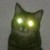 :iconhawt-dawg: