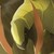 :iconhaxorusplz: