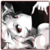 :iconhayagee: