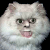 :iconhayguiseplz: