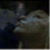 :iconhaylz046: