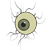 :iconhayrimiray: