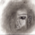 :iconhayweetron: