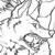 :iconhazardous-material33: