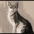 Hazbell :iconhazbell: