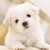 :iconhazel-fire81: