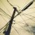 :iconhazel-suffice: