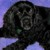 :iconhazeleyesintherain: