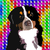:iconhazelthorn19000: