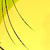 :iconhazeltons: