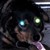 :iconhazmatcfo: