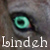 :iconhcflower: