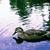 :iconhe-made-i-captured: