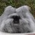 :iconheadclot88: