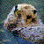 :iconHeadOHeels4Snape: