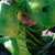 :iconheal-the-earth: