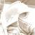 :iconheart-rate0: