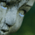 :iconheartasylum: