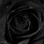 :iconheartbreaker789: