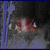:iconheartbrokendreams: