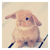 :iconheartfelt-joy: