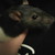 :iconheartfulloffire:
