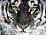 :iconheartin141: