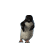 :iconheartlessguy: