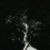 :iconheartlesswaltz: