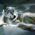 :iconheartlesswolf123: