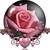 :iconheartofsilverandgold: