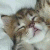 :iconheartqueen212: