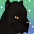 :iconheartroo: