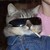 :iconheartsartist: