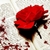 :iconheartvamp: