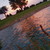 :iconheatherbelle21: