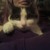 :iconheatherep8: