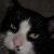 :iconheatherlynne: