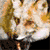 HeatherTheVillian :iconheatherthevillian: