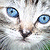 :iconHeatherYarnell: