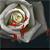 :iconheavenlexia:
