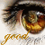 :iconheavenlyashell:
