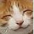:iconHeavensCry3: