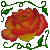 :iconheavenwing-studio: