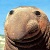 :iconheavynevers: