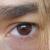 :iconhecalledmepiratepunk:
