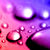 :iconhector42: