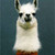 :iconhederaair: