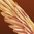 hedgehogfairy :iconhedgehogfairy: